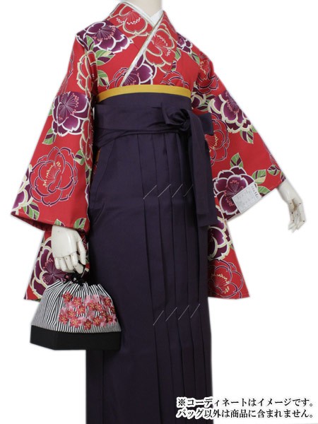 振袖・着物用　桜刺繍ベルベット素材バック C7116100533010 振袖用草履バッグセット／桜刺繍／赤 | きもの