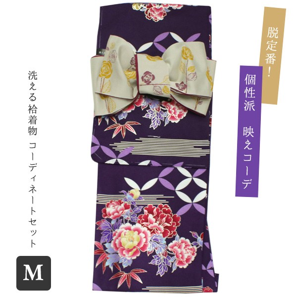 洗える着物 袷 半幅帯 着物 2点 セット Mサイズ コーディネート 小紋