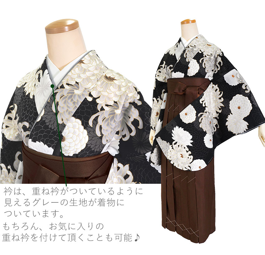 二尺袖着物 ショート丈 単品 卒業式 菊 二尺袖 着物 袴用 大学生 小学生 ジュニア 着物のみ 日本製の画像