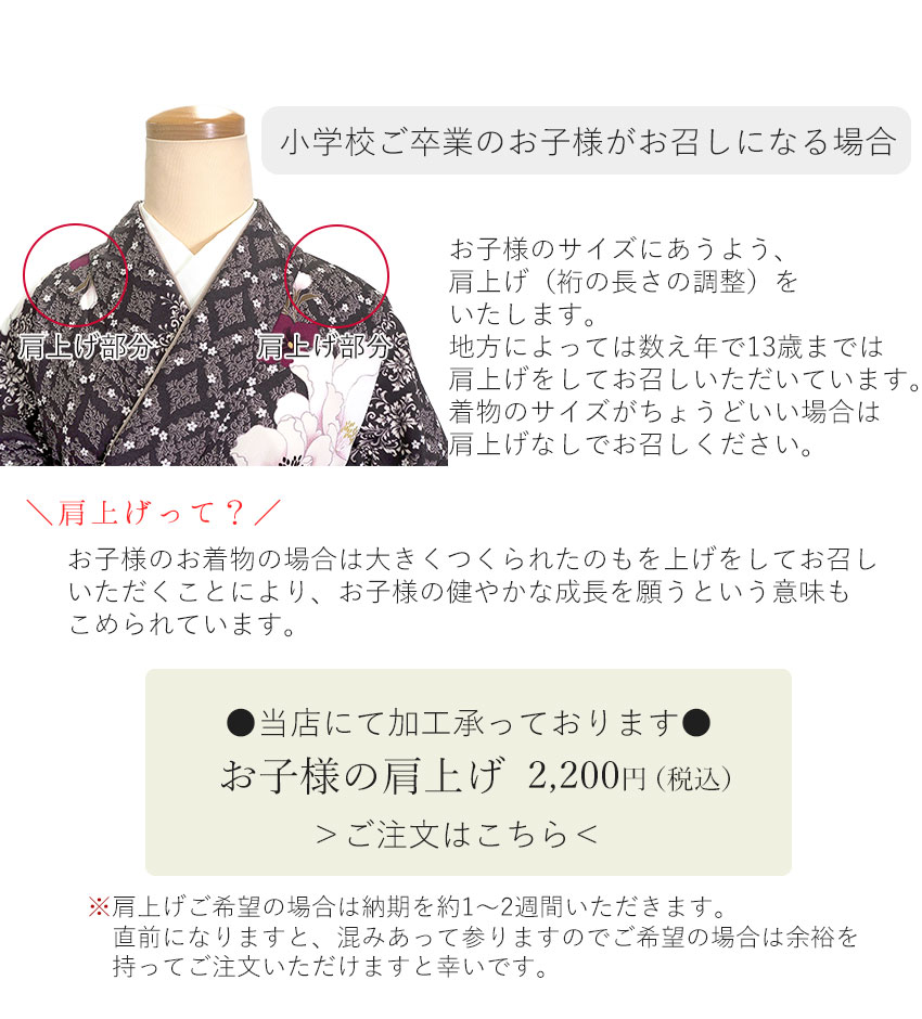 袴セット 卒業式 袴 小学生 大学生 大学 小学校 購入 女子 二尺袖 着物 2点セット ブラウン 牡丹 ジュニア 卒業 着付け レディース 女性 | ブランド登録なし | 12