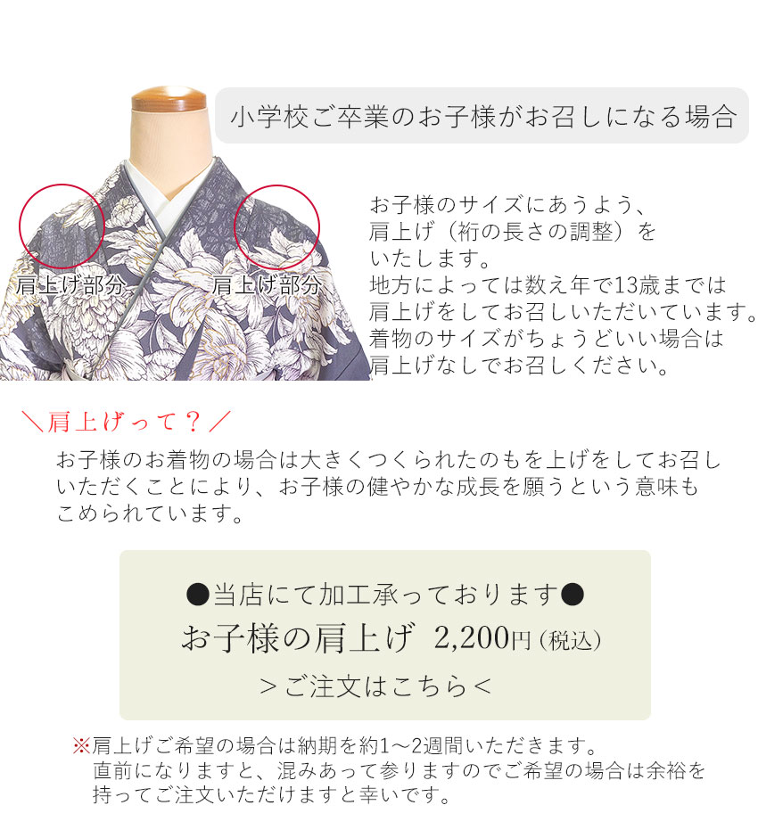 袴セット 卒業式 袴 小学生 大学生 大学 小学校 購入 女子 二尺