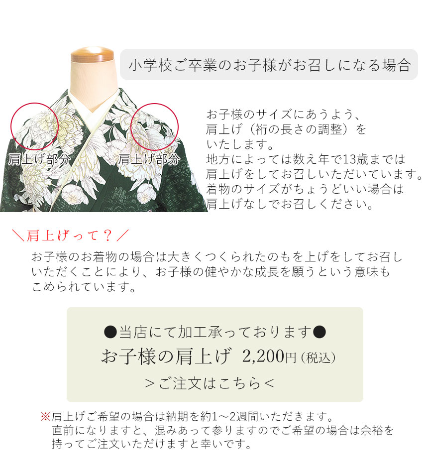 袴セット 卒業式 袴 小学生 大学生 大学 小学校 購入 女子 二尺袖 着物 2点セット グリーン 華紋 牡丹 ジュニア 卒業 着付け レディース 女性の画像