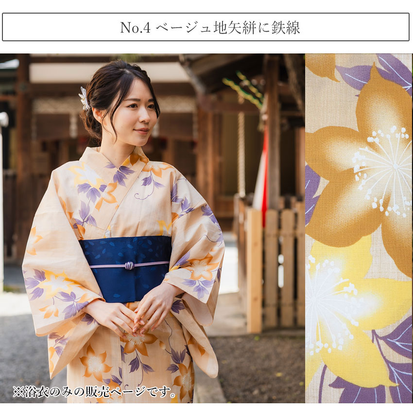 単衣　絽　紗　訪問着　鳩　飛び立つ鳥　虹色の羽　枝葉　フルセット　着物　P2 単衣 絽 紗 訪問着 鳩 飛び立つ鳥 虹色の羽 枝葉 フルセット 着物 P2