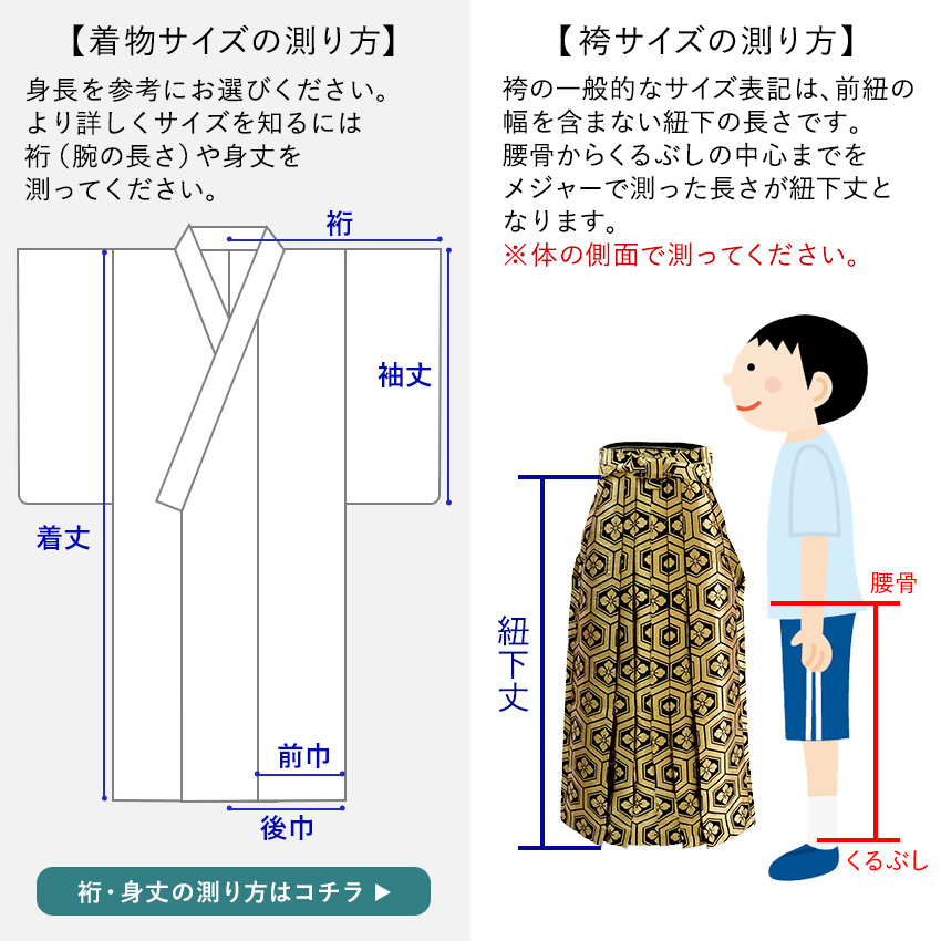 着物 羽織 袴 3点セット 紋付 成人式 卒業式 無地 白 金 銀 亀甲