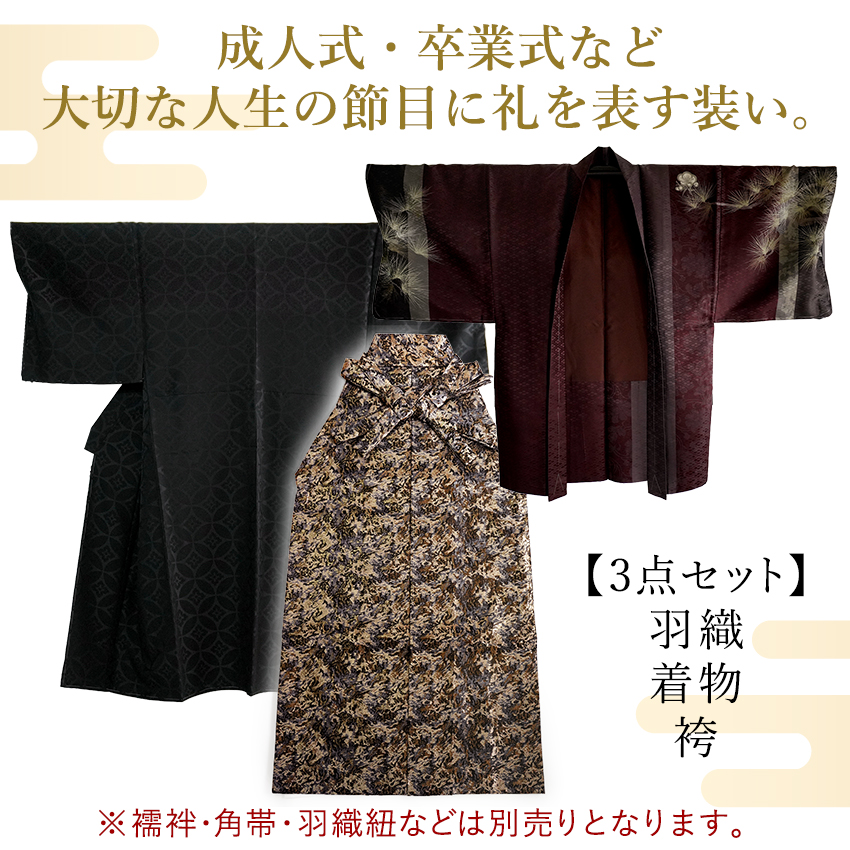 メンズ 羽織 着物 袴 3点セット 臙脂 えんじゴールド 松 幾何学M L LL 成人式 卒業式 洗える 和装の画像