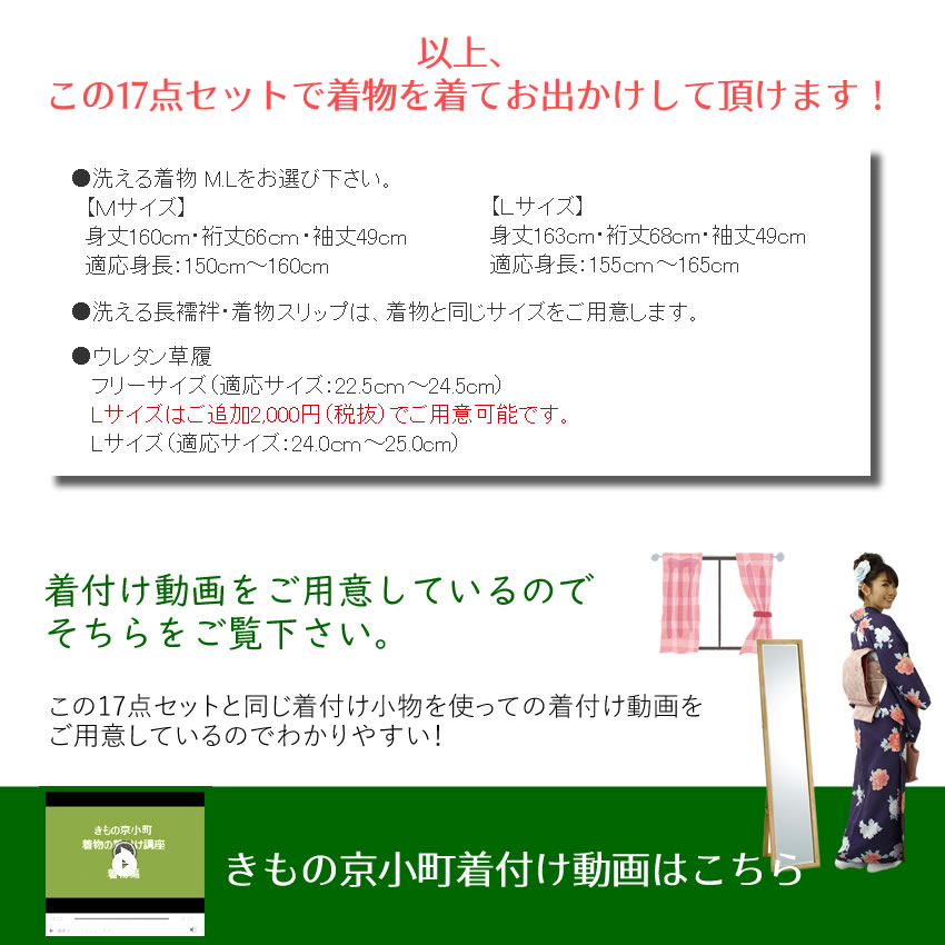 2026新春福袋 着物デビューがうまくいく16点セット 洗える着物 名古屋