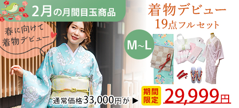 着物デビュー19点フルセット