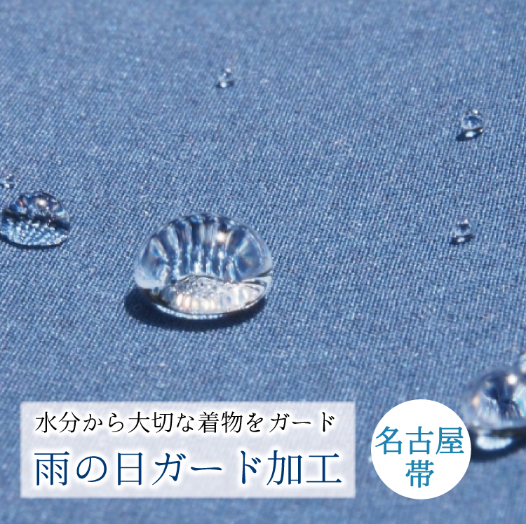 80010000_01n.jpg