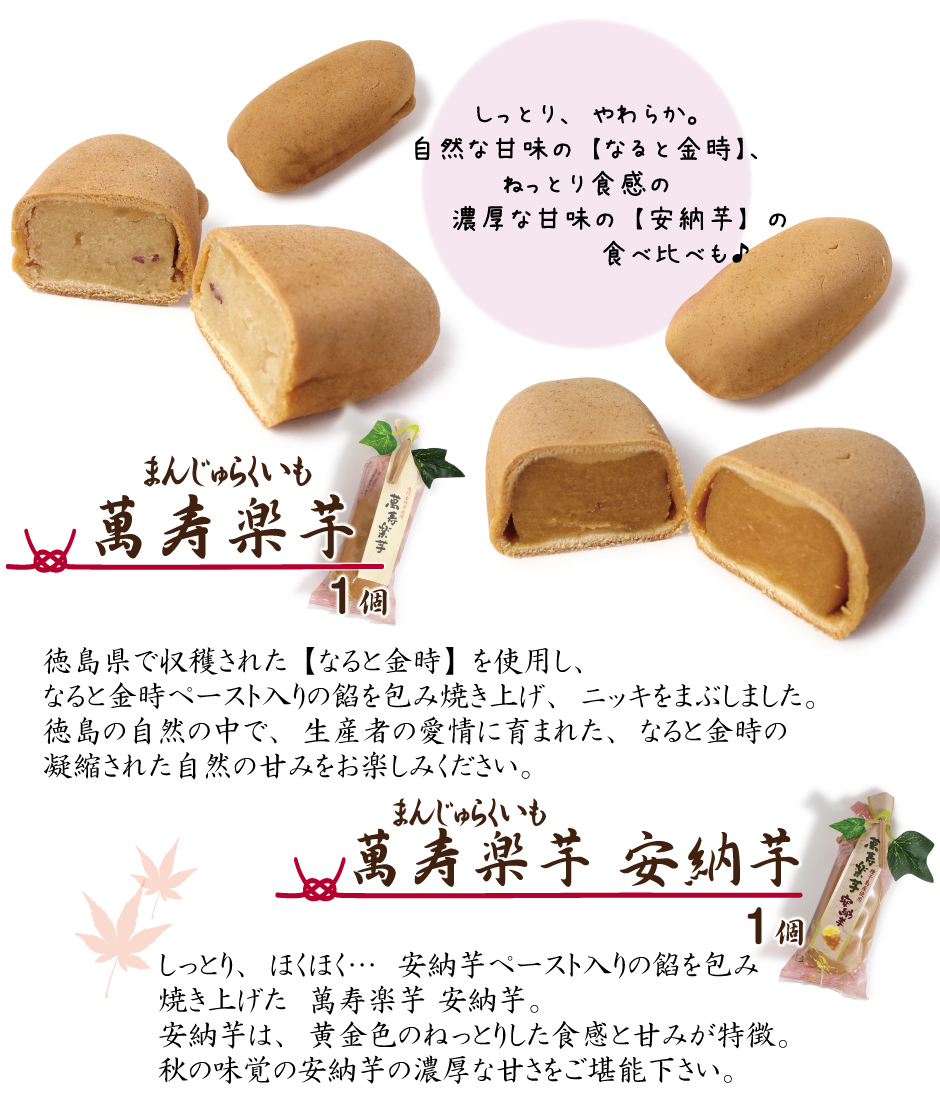 秋の味覚 さつまいも 栗 おまんじゅう 4種 5個セット 秋 安納芋
