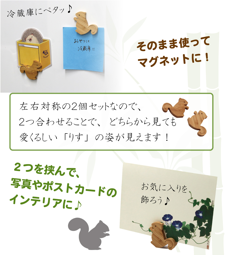 どうぶつマグネット りす】マグネット カード立て リス 栗鼠 かわいい