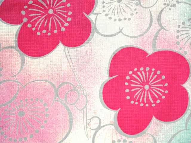 乃木坂46 生田絵梨花 変わり織り浴衣 レディース 単品 夏用 綿100