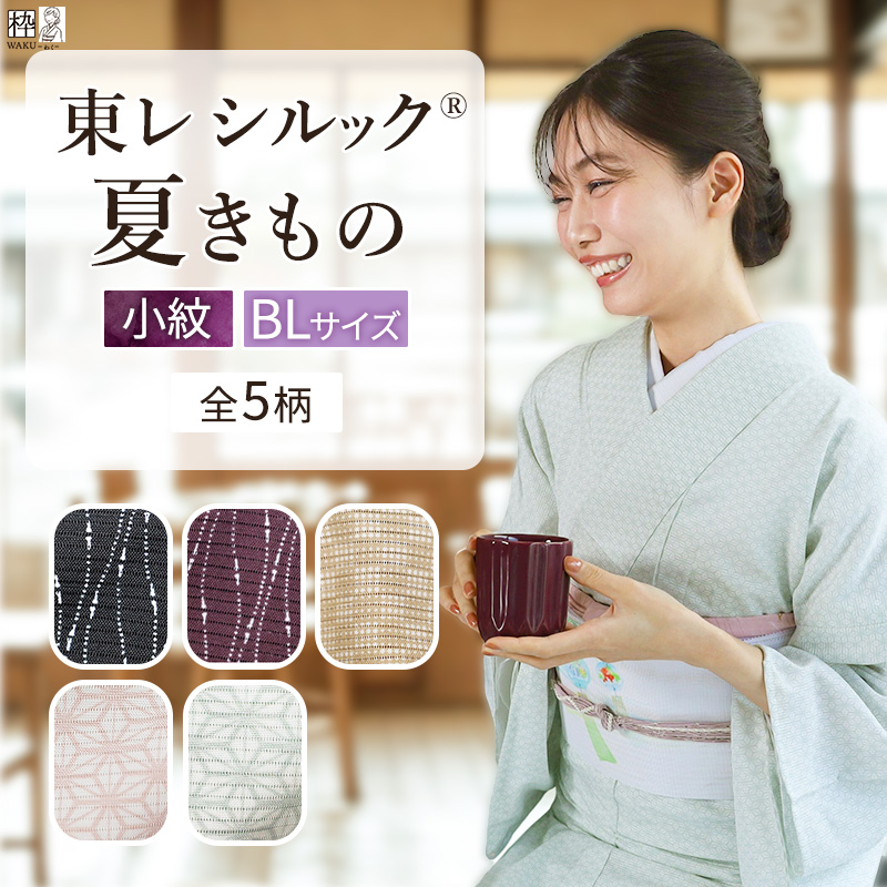 【美品✨】東レシルック　洗える着物　夏物　絽　江戸小紋　花びら　黒色　D3 シルック 洗える着物 東レシルック 夏着物 絽 江戸小紋 Mサイズ