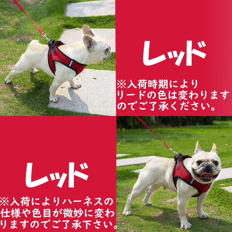 SALE】【メール便送料無料】DUOMM 犬 ハーネス リード セット