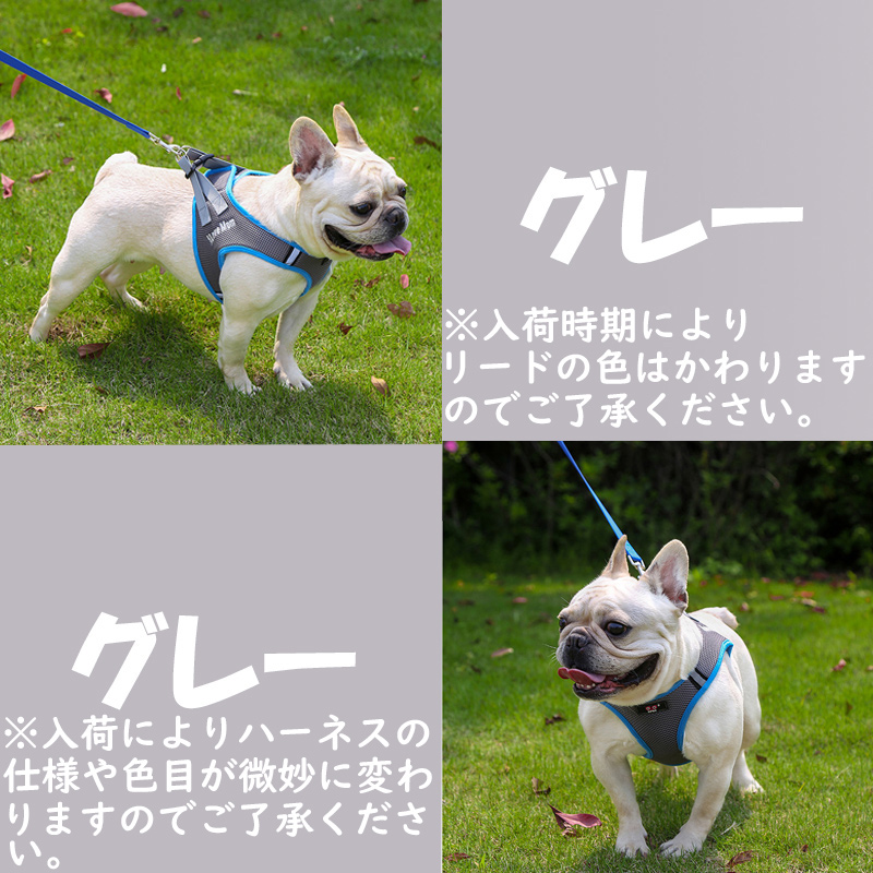 SALE】【メール便送料無料】DUOMM 犬 ハーネス リード セット