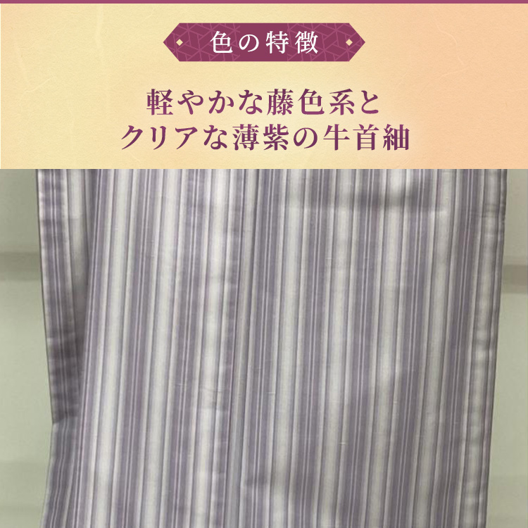 夏物のラストセール　単衣　紬　牛首紬　撒き糊散らし　裄67cm 正絹 118000181_2.jpg
