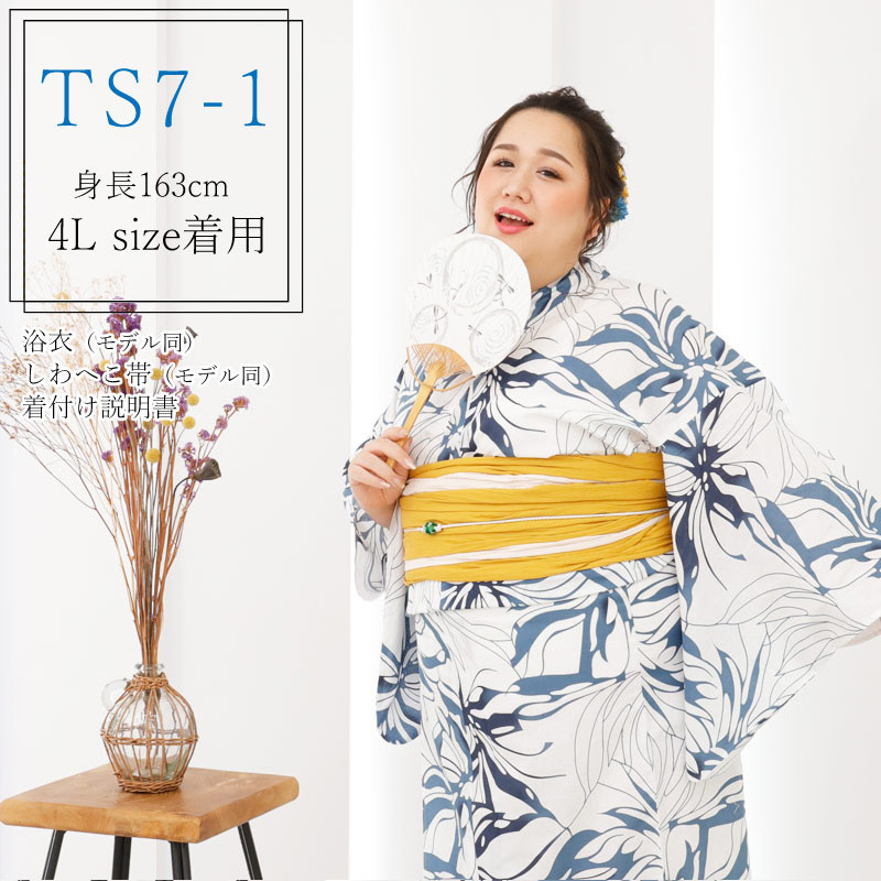 ts7-1-1.jpg