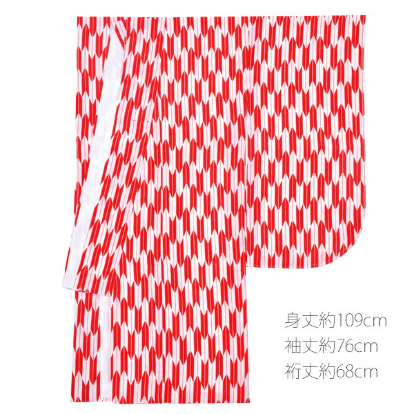 袴セット 女性着物 ショート丈