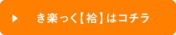 き楽っく うそつき襦袢 ファスナー式 半衿 襦袢