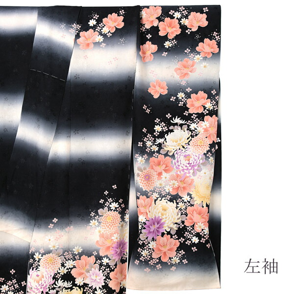 未仕立て 振袖 単品 「黒×白、段暈し 菊」 仮絵羽 振り袖 正絹