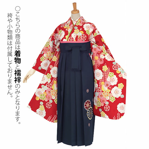【中古品】ジュニア用 振袖単品「赤　桜にねじり梅」仕立て上がり 襦袢プレゼント 小振袖 着物 子ども 子供 キッズ ジュニア 女の子 卒業式 小学校 小学生 中学校 中学生 十三参り 十三詣り 1/2成人式 ハーフ成人式 貸衣装処分 レンタル処分品 【メール便不可】