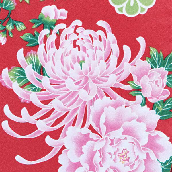 【訳アリ】【中古品】ジュニア用 振袖単品「赤　菊牡丹」仕立て上がり 襦袢プレゼント 小振袖 着物 子ども 子供 キッズ ジュニア 女の子 卒業式 小学校 小学生 中学校 中学生 十三参り 十三詣り 1/2成人式 ハーフ成人式 貸衣装処分 レンタル処分品 【メール便不可】