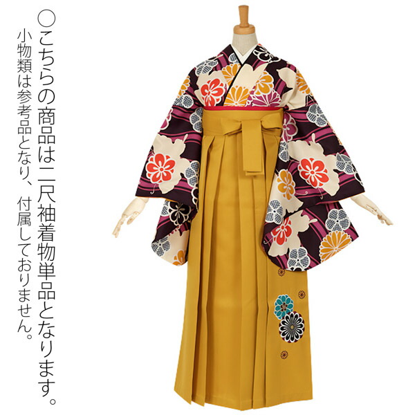 【中古品】二尺袖 単品「ワイドサイズ 紫 立涌に蝶」貸衣装処分 レンタル処分品 卒業式 【メール便不可】