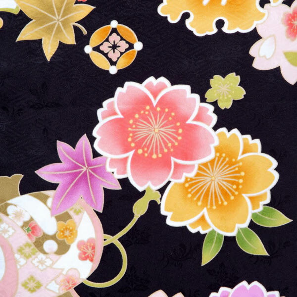 【中古品】二尺袖 単品「黒 桜楓橘 宝尽くし」貸衣装処分 レンタル処分品 卒業式 【メール便不可】