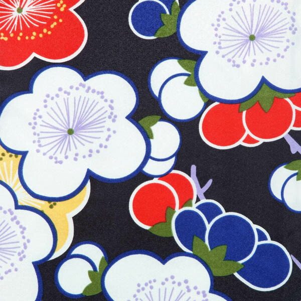 【中古品】二尺袖 単品「黒 梅の花」貸衣装処分 レンタル処分品 卒業式 【メール便不可】