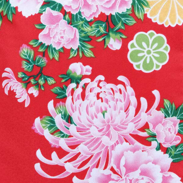 【中古品】二尺袖 単品「赤 菊牡丹」貸衣装処分 レンタル処分品 卒業式 【メール便不可】