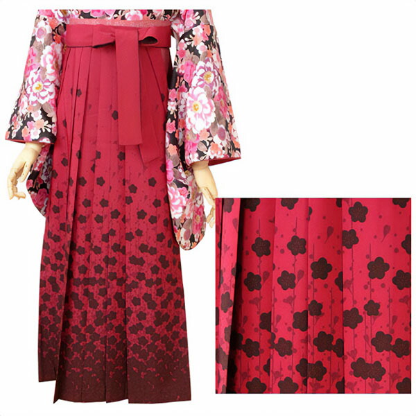 【中古品】袴 単品「ローズ×梅 S/M/L/LL」卒業式 袴 レディース 行燈袴 女性用袴単品 貸衣装処分 レンタル処分品【メール便不可】