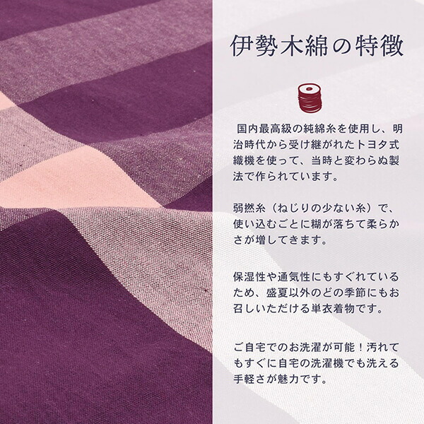 伊勢木綿 洗える着物 単品「格子京紫×桜色」お仕立て上がり 木綿きもの