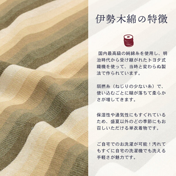 伊勢木綿 洗える着物 反物 レディース「かつお縞 サンドベージュ」未