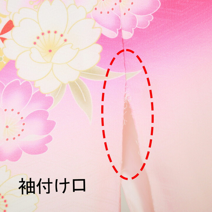 中古品)仕立て上がり 振袖「束ね熨斗 牡丹 菊 桜 桜色 ピンクぼかし 