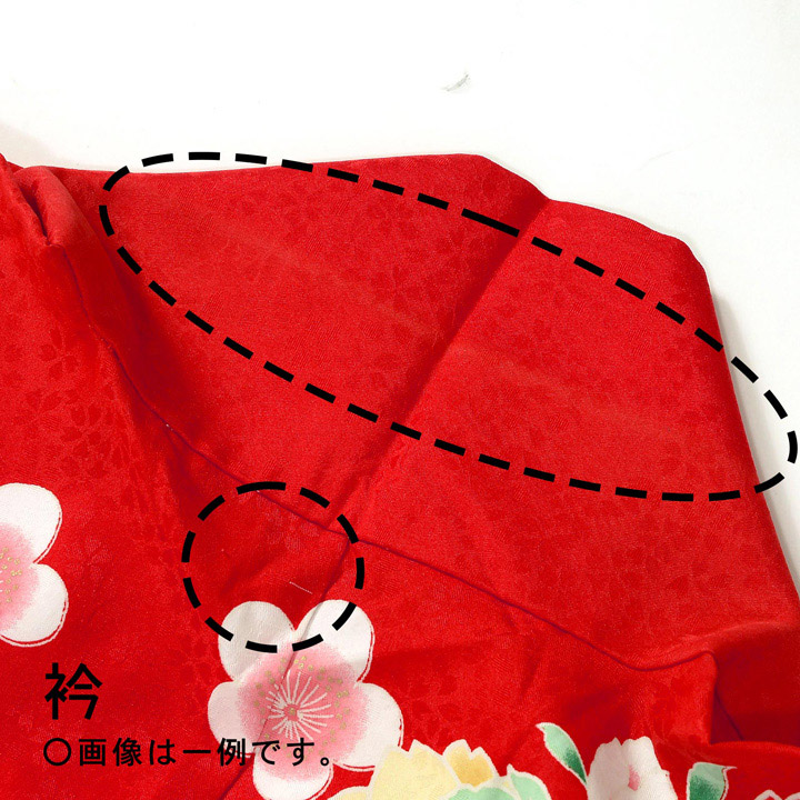 (中古品)仕立て上がり 振袖「花薬玉 季節の花 緋色」貸衣装処分 レンタル処分品 成人式(メール便不可)_6