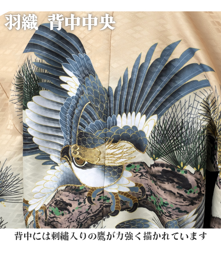 七五三 着物 男の子 五歳 13点フルセット 風 鷹 松 クリーム 黒