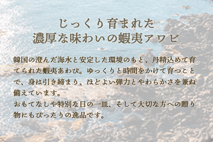 蝦夷アワビの特徴2