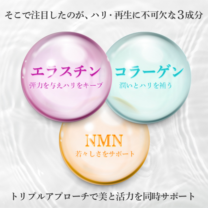 elastinne DAN(エラスティーヌ ダン) 常温・冷蔵・冷凍便可【送料無料】※賞味期限2026年4月 訳アリ 訳あり ポイント消化 1000円 美容 健康 ギフト お試し 爆買 |  | 06