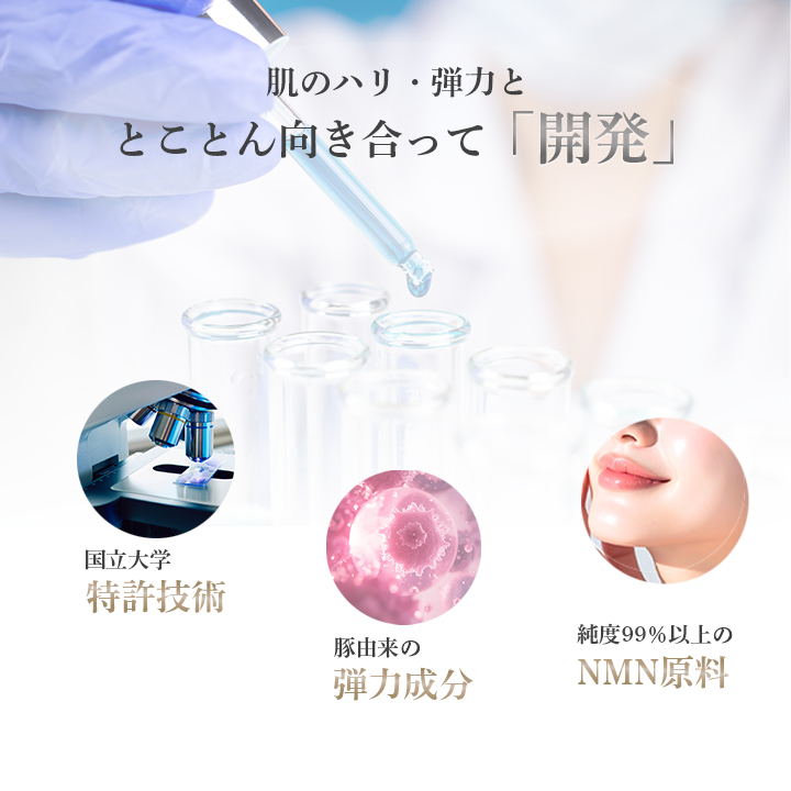 elastinne DAN(エラスティーヌ ダン) 常温・冷蔵・冷凍便可【送料無料】※賞味期限2026年4月 訳アリ 訳あり ポイント消化 1000円 美容 健康 ギフト お試し 爆買 |  | 10
