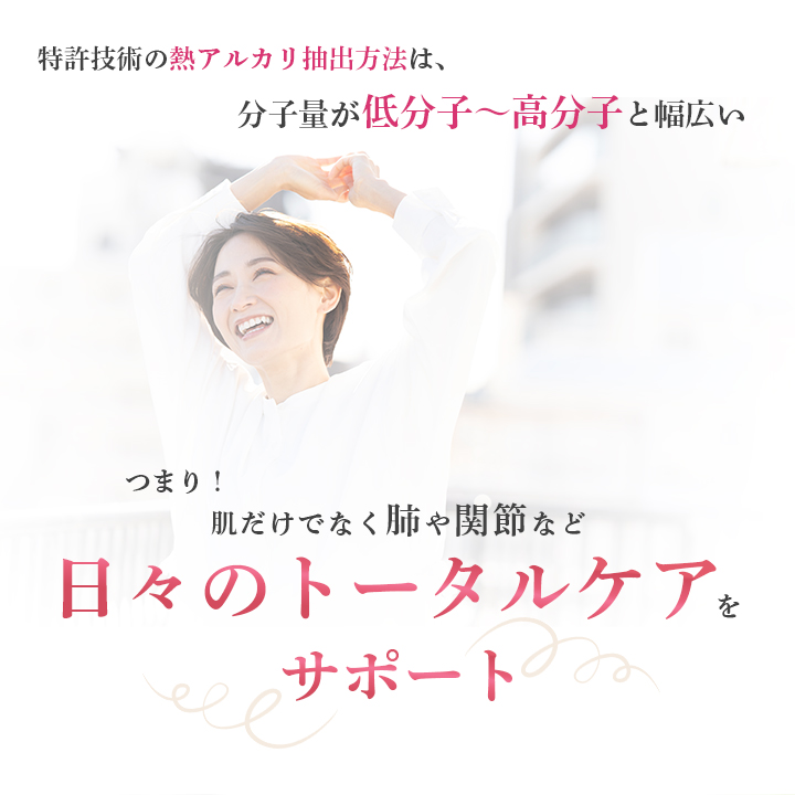 elastinne DAN(エラスティーヌ ダン) 常温・冷蔵・冷凍便可【送料無料】※賞味期限2026年4月 訳アリ 訳あり ポイント消化 1000円 美容 健康 ギフト お試し 爆買 |  | 11