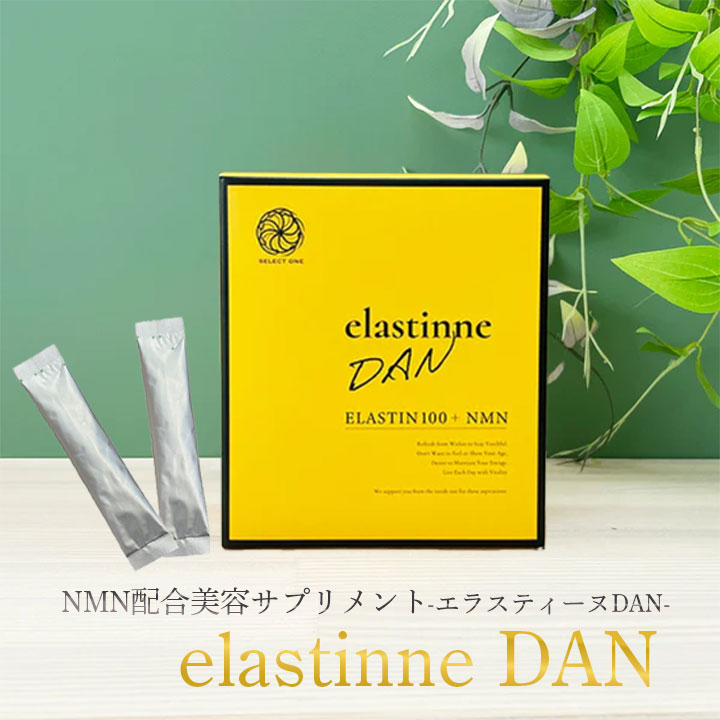 elastinne DAN(エラスティーヌ ダン) 常温・冷蔵・冷凍便可【送料無料】※賞味期限2026年4月 訳アリ 訳あり ポイント消化 1000円 美容 健康 ギフト お試し 爆買