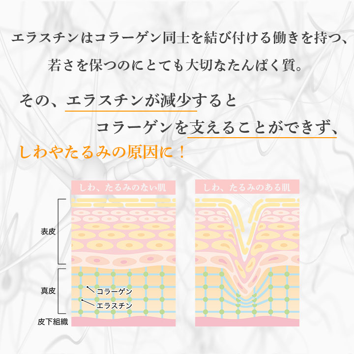 elastinne DAN(エラスティーヌ ダン) 常温・冷蔵・冷凍便可【送料無料】※賞味期限2026年4月 訳アリ 訳あり ポイント消化 1000円 美容 健康 ギフト お試し 爆買 |  | 04