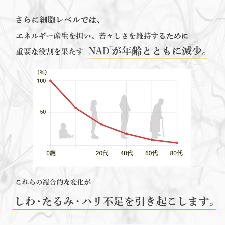 elastinne DAN(エラスティーヌ ダン) 常温・冷蔵・冷凍便可【送料無料】※賞味期限2026年4月 訳アリ 訳あり ポイント消化 1000円 美容 健康 ギフト お試し 爆買 |  | 05
