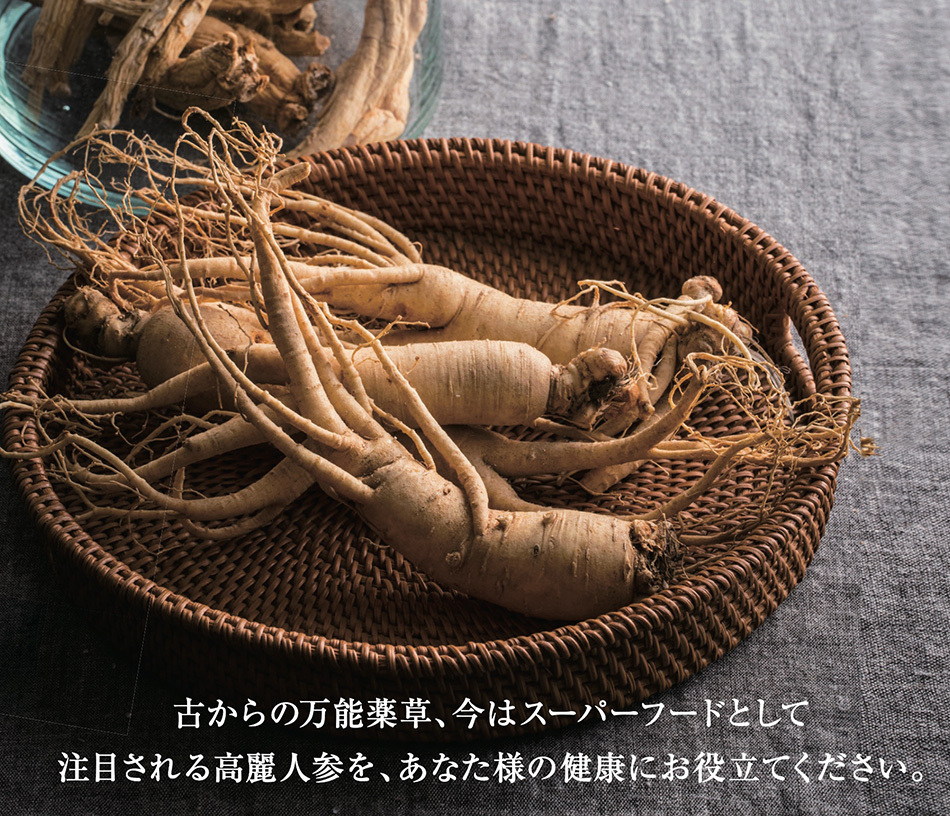スーパーフード高麗人参