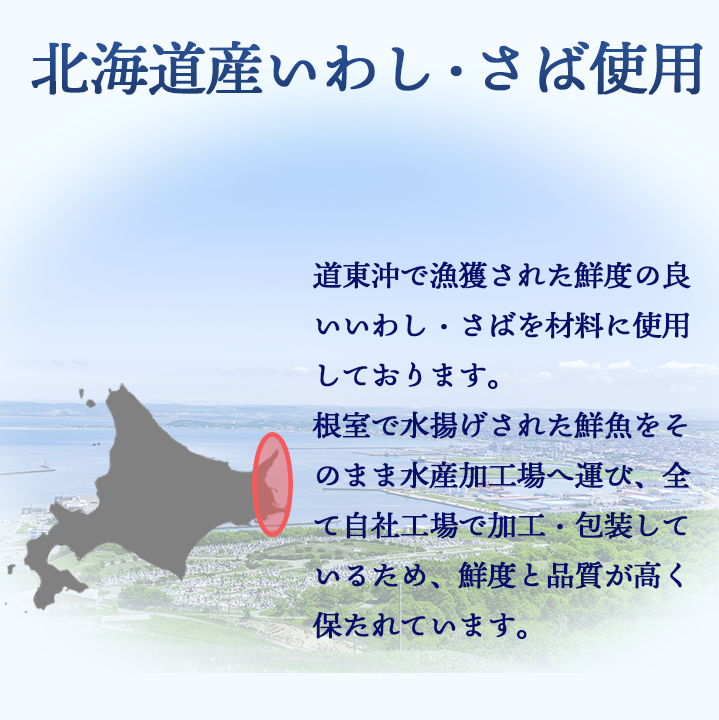 北海道道東沖