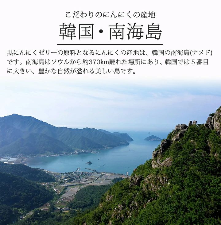 黒にんにく 黒にんにくゼリー