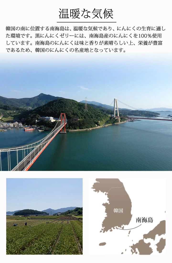 黒にんにく 黒にんにくゼリー