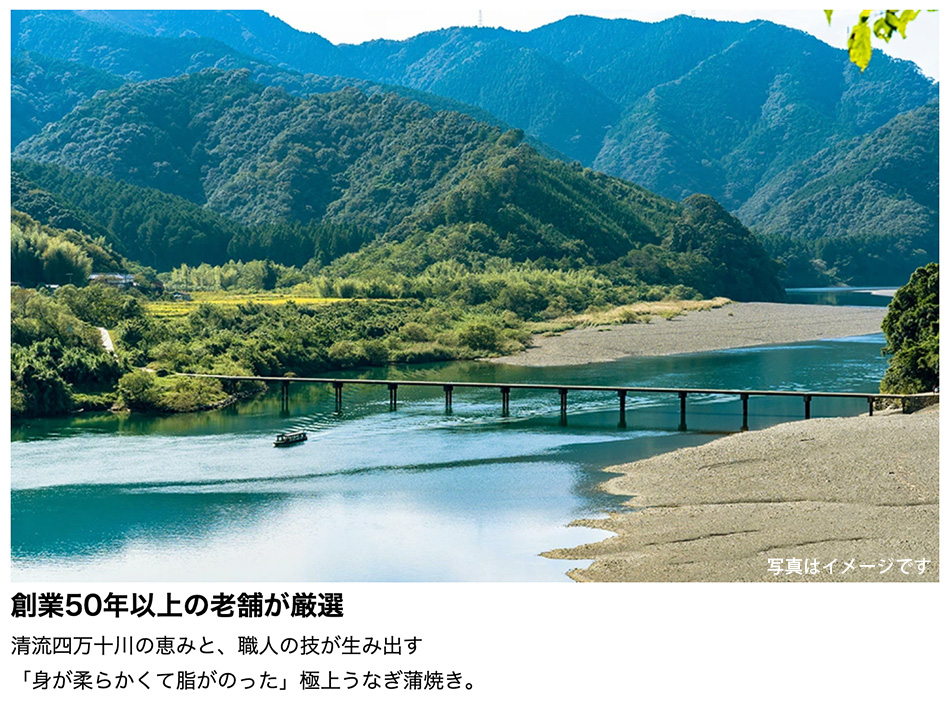 うなぎ 国産 四万十うなぎ 蒲焼(大) 140...の詳細画像2