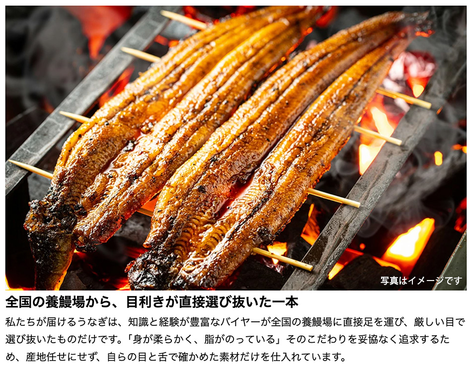 うなぎ 国産 四万十うなぎ 蒲焼(大) 140...の詳細画像3