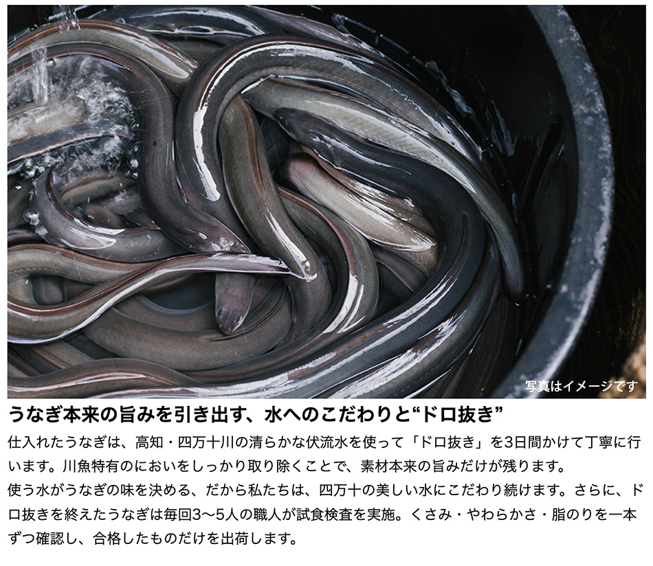 うなぎ 国産 四万十うなぎ 蒲焼(大) 140...の詳細画像4