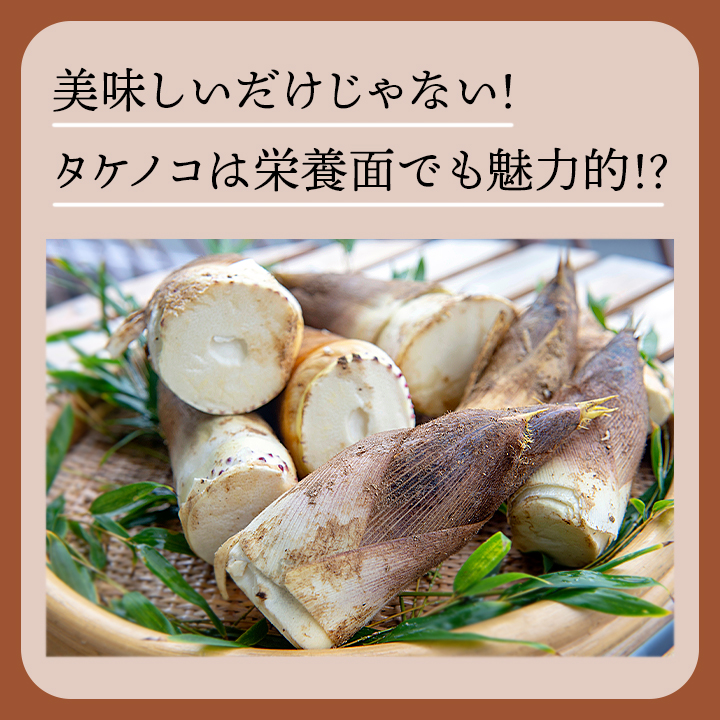キムチ タケノコキムチ250g 冷蔵便 たけの...の詳細画像2